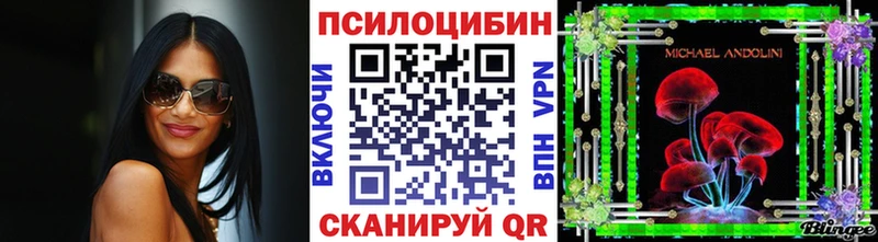 Купить закладки  Чебаркуль  Псилоцибиновые грибы мухоморы 