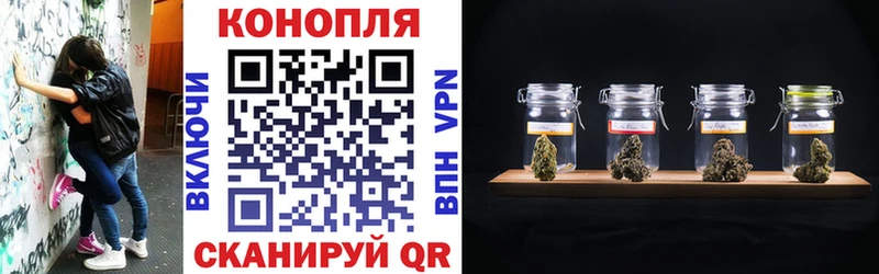 Каннабис Amnesia  Купить  Чебаркуль 